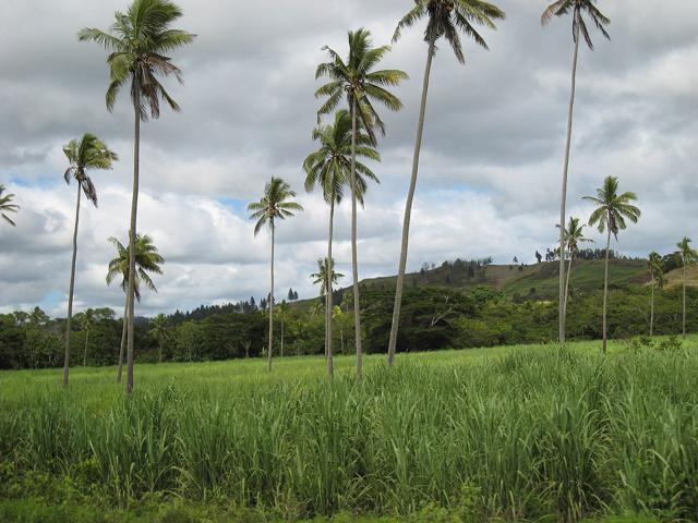 Vanua Levu